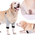 thumbnail image 2 of WINDLAND Protective Dog Elbow Sleeve Brace Against Licking Adjustable Fit Elbow Brace Pet Leg Hock Joint Wrap Support Aids, 2 of 13