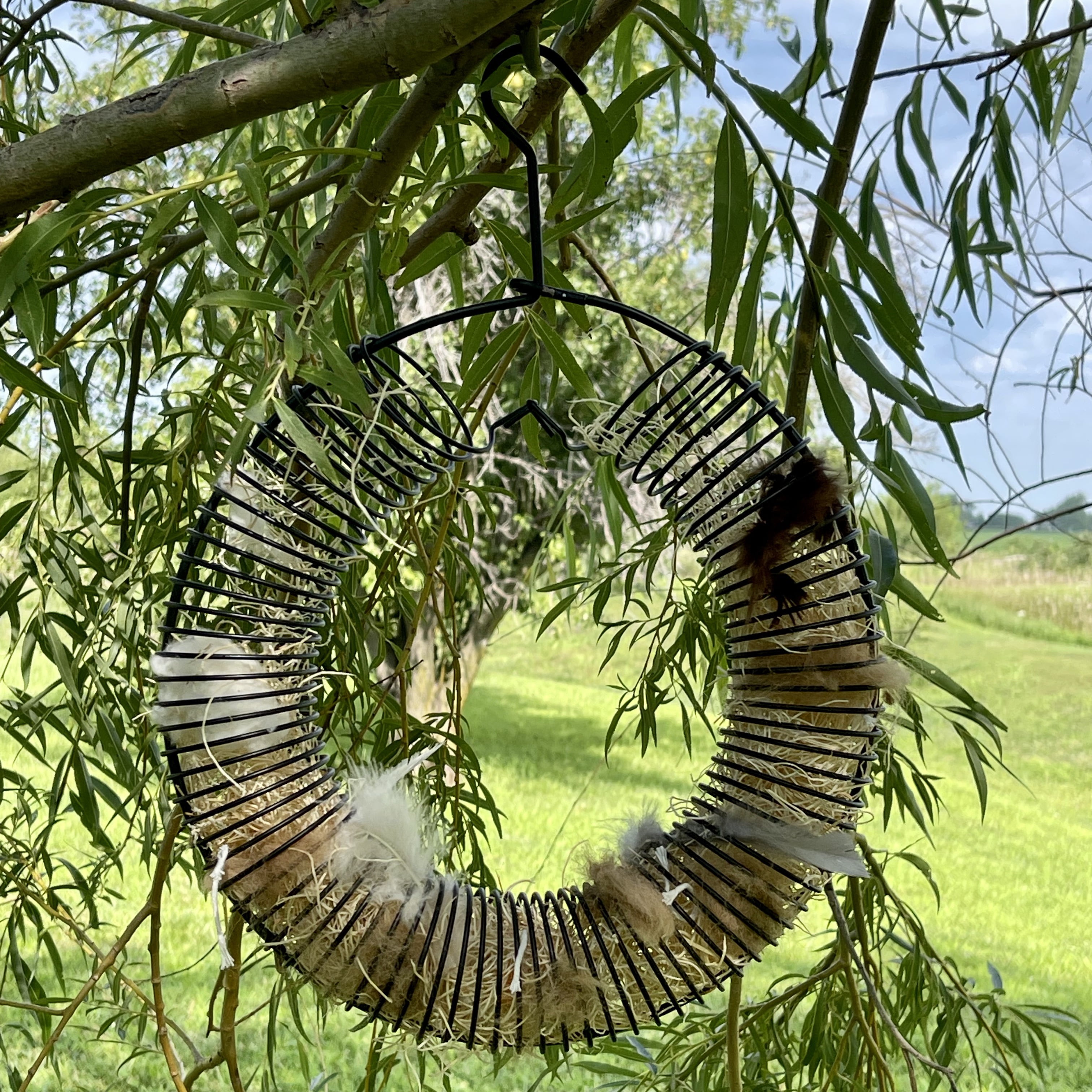Songbird Essentials Bird Feeder Squirrel Feeder Whole Peanuts Wreath Black