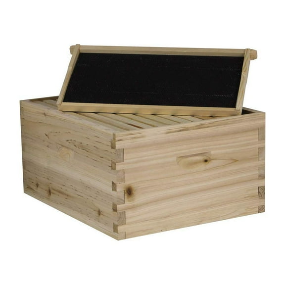 NuBee 10 Frame Deep Brood Box with Frames & Foundations (Unassembled)