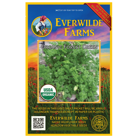 - Everwilde Farms - 500 Organic Forest Green Parsley Seeds - Gold Vault Jumbo Bulk Seed Packet