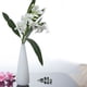 thumbnail image 4 of Florero de vidrio de 1 pieza, florero para plantas de agua, florero de vidrio para revestimiento de agua (blanco), 4 of 4