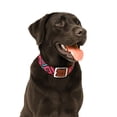 thumbnail image 4 of Collar Cuero Nylon Grande, 4 of 5