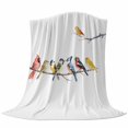thumbnail image 6 of Birds Blanket Soft Cozy Warm Throw Blanket for Couch, Plush Fuzzy Flannel Fleece Blankets for Sofa, Bird Vintage Watercolor Bed Blankets Lightweight Gifts for Women, 30"x40", 6 of 9