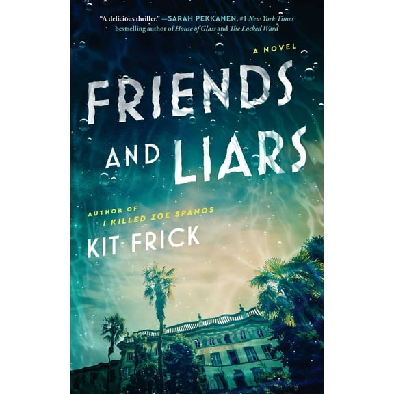 Friends and Liars: A Novel (Paperback)