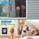 thumbnail image 4 of Puerta mosquitera para perros Ownpets CHAO con cerradura 24 cm de ancho x 29 cm de alto, 4 of 5