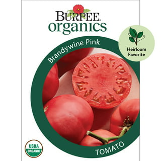 Brandywine Pink Tomato Seeds