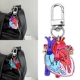 thumbnail image 2 of Osdhezcn Anatomical Heart Keychain Educational Human Heart Charm for Physical Enthusiasts, 2 of 8