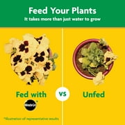 Miracle-Gro Water Soluble All Purpose Plant Food, For All Plant Types, 5 lbs.