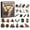 Style 4, variant on Deer Hunting Season Advent Calendar, 2D Flat Acrylic Forest Buck Wildlife Pendants Daily Reveal Blind Box for Outdoorsmen, 24 Pcs