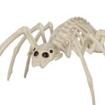 thumbnail image 5 of Adult Halloween Pl Value Spider Décor, 5 of 5