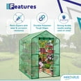 thumbnail image 7 of Machrus Ogrow Deluxe Walk-In Greenhouse with 2 Tiers and 8 Shelves - Green Cover, 7 of 7