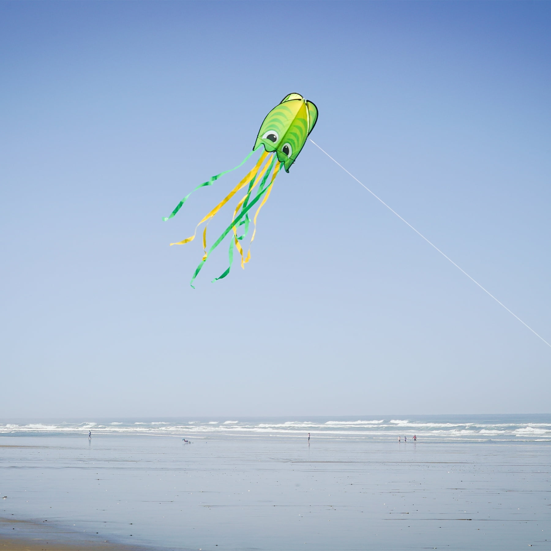 In the Breeze 3389 — Green Pop Jelly Kite — Non-Assembly, Easy-Flying Kite with Long Streamer Tails; Kite Line Included