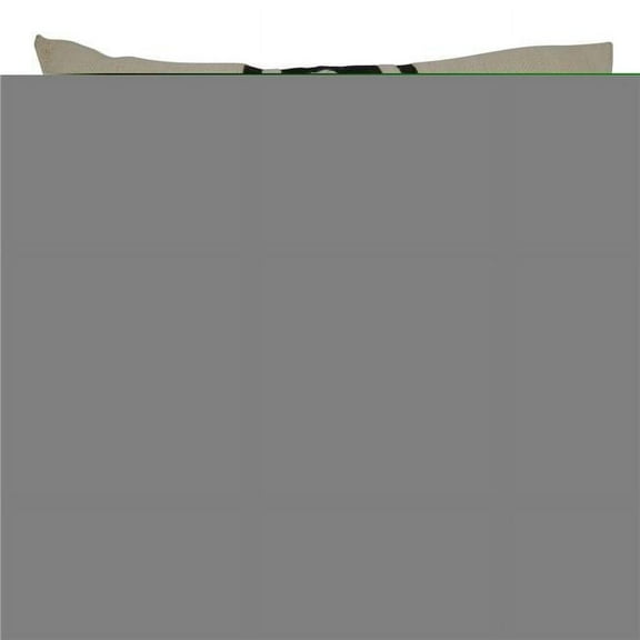 Saro Lifestyle Striped Tassel Throw Pillow Cover