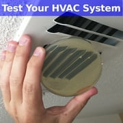 Air Mold Test Kit - Evviva Sciences - 5 Simple Mold Detection Tests - Optional Lab Analysis - Test HVAC System, Room Air, Home Surfaces - Includes Detailed Mold ID Guide
