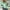 Green, variant on Aloohaidyvio Women's Casual Zip Up Bomber Fall Winter Spring Long Sleeve Coat Stand Collar Lightweight Short Outwear Tops