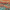 Teal & Orange, variant on Mohawk Home Strata Eroded Color Pink Printed Area Rug, 7'6"x10', Teal & Pink