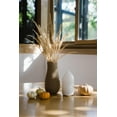 thumbnail image 4 of doTERRA Laluz Diffuser, 4 of 4