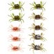 thumbnail image 1 of 10 paquetes de cebos de cangrejo artificiales Timcorr señuelos de cangrejo de simulación 3D suaves con ganchos afilados, 1 of 5