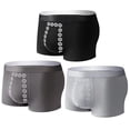 thumbnail image 1 of Titaking Magnetic Therapy Men's Underwear, 1 of 7