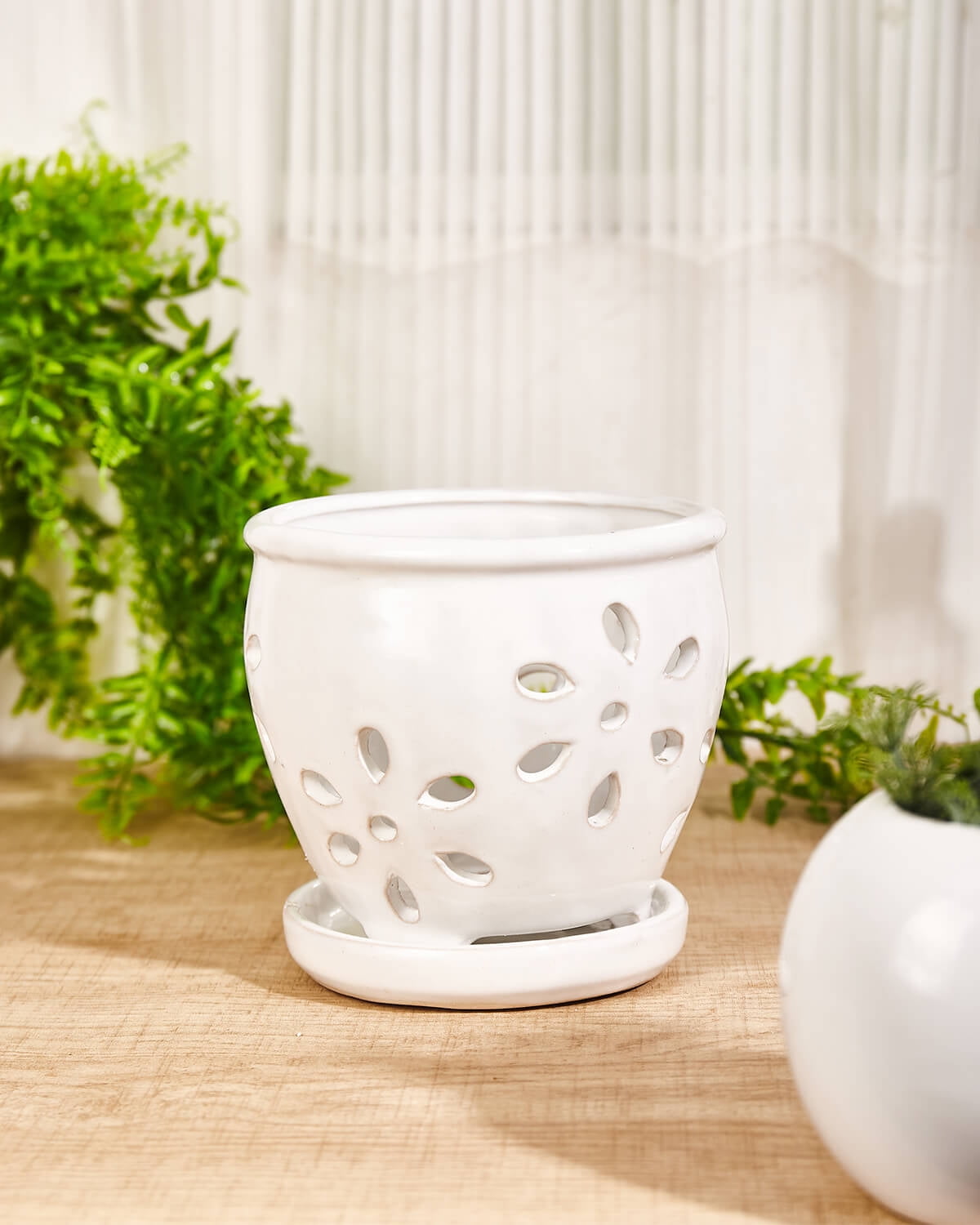 5 Inch Ceramic Orchid Pots with Holes and Saucers - 1 Pcs Small Ceramic Orchid Planter Pots for Repotting, Plant Garden Pots for Orchid Indoor and Outdoor Promotes Air Circulation, White