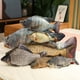 thumbnail image 2 of 13 estilos 30-100CM simulación pez juguetes de peluche realista tilapia carpa besugo almohada de peluche suave relleno cama respaldo cojín creativo D, 2 of 5