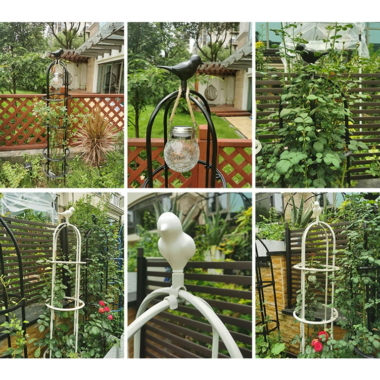 BToBackyard Plant Trellis Clematis Plants Garden Roses Vine Cherry Tomatoes  Splicing Climbing Black White 120Cm Decorative Vines 