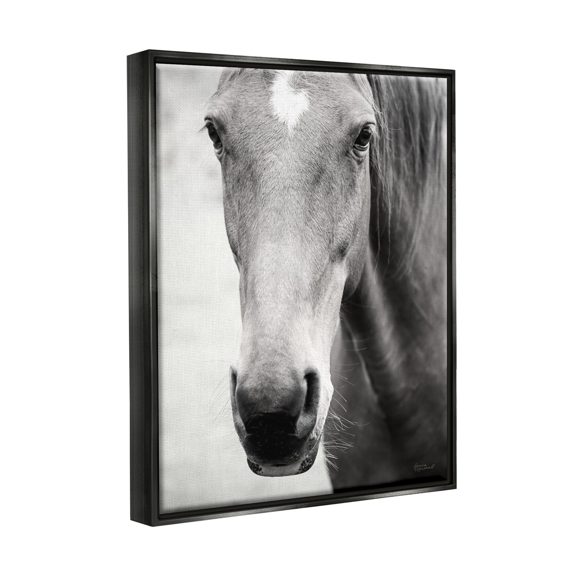 Stupell Industries Moke Lake Horse Photography Animals & Insects Photography Black Floater Framed Art Print Wall Art, 25 x 31