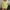 Green, variant on Aloohaidyvio Button Down Shirts for Women,Women's Fall Classic-Fit Button Down Shirts Dress Shirts Long Sleeve Blouses V Neck Solid Casual Tunics Tops