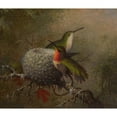 thumbnail image 2 of Martin Johnson Heade 17x15 Black Ornate Wood Framed Double Matted Museum Art Print Titled - Two Ruby Throats by Their Nest (1862-63), 2 of 5