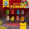 thumbnail image 4 of Yummy Bear Crunch by CANDIFREEZE.  Freeze Dried Yummy Bear Crunch w/ resealable bag., 4 of 7