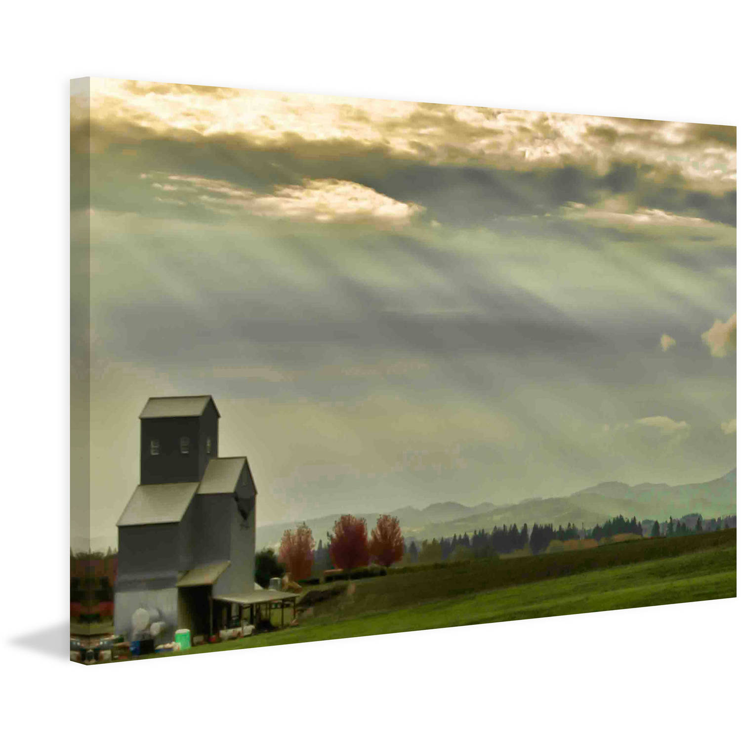 Marmont Hill "Wine Country Sunset" Painting Print on Canvas