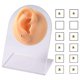 thumbnail image 2 of Vogacara 12 piezas de aretes falsos para la nariz, mano de obra multipropósito, accesorios de maquillaje de superficie lisa exquisita, Clip no Maquillaje Facial, 2 of 6