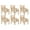 Beige-Corgi Dog Paw, variant on HELLHERO Leaf Print Dining Room Chair Covers, Comfortable Chair Slipcovers for Dining Room, Universal Kitchen Chairs Seat Protector, Green