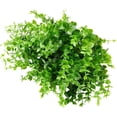 thumbnail image 6 of GRNSHTS Artificial Flowers Fake Outdoor UV Resistant Boxwood Plants Shrubs 6 Pack, Faux Plastic Greenery for Indoor Outside Hanging Planter Home Office Wedding Farmhouse Decor (Purple), 6 of 15