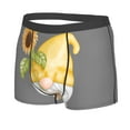 thumbnail image 2 of Bingfone Sunflower Gnomes5 Men'S Underwear - Casual Stretch Boxer Briefs-Small, 2 of 9