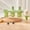 A-One Size, variant on Animal Molds Zoo Crew Set 3 Cavity Homemade Reusable Molds with Sticks Dog and Cat , BPA Free Silicone Pop Maker for Kids, Dishwasher Safe Animal Ice Molds for Frozen Treats