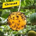thumbnail image 3 of 10 Pcs Fruit Fly Sticky Traps,Sticky Ball for Indoor Outdoor Use,Hanging Sticky Insect Ball,Fly Trap Ball Repeller Killer,Topboutique Wasp Bee Insect Ball,3.15 in,Yellow, 3 of 6