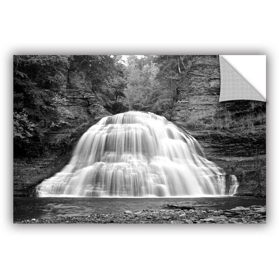 ArtWall Dan Wilson "New York Treman Falls" ArtAppealz Removable Wall Art
