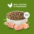 thumbnail image 5 of Rachael Ray Nutrish Dry Cat Food, Chicken & Brown Rice Recipe, 3 Lb. Bag, 5 of 12