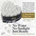 thumbnail image 3 of GLAMOUR BOUTIQUE 27-Piece Forever Flowers Heart Shape Box - Preserved Roses, Immortal Roses That Last A Year - Eternal Rose Preserved Flowers for Delivery Prime Mothers Day & Valentines Day - White, 3 of 9