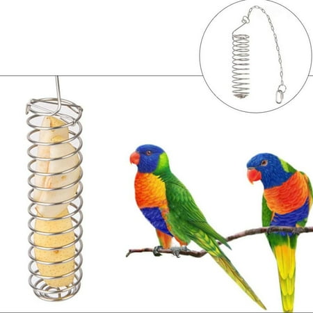 Stainless Steel Birds Fruit and Vegetable Stand Parrot Feeder Foraging