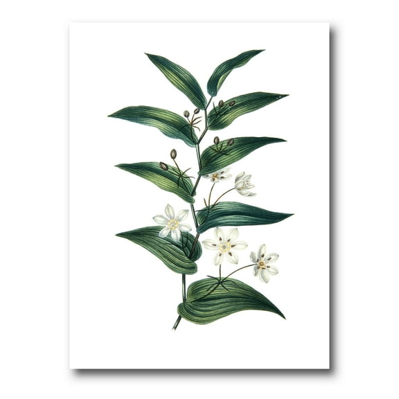 Designart ' Little White Flowers With Ancient Plant ' Farmhouse Canvas Wall Art Print