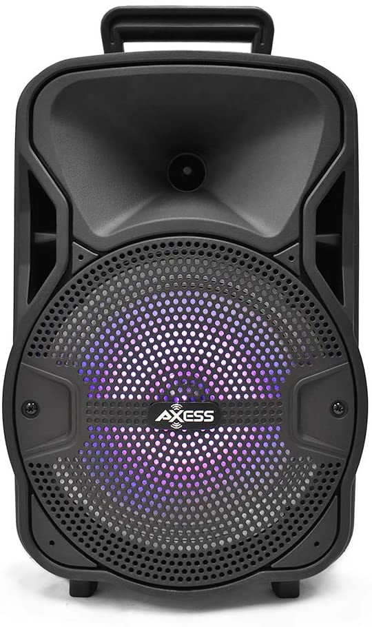 speaker axess