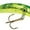 Fickle Pickle, variant on Yakima Bait Mag Lip Blue Bandit, 4.5 In.