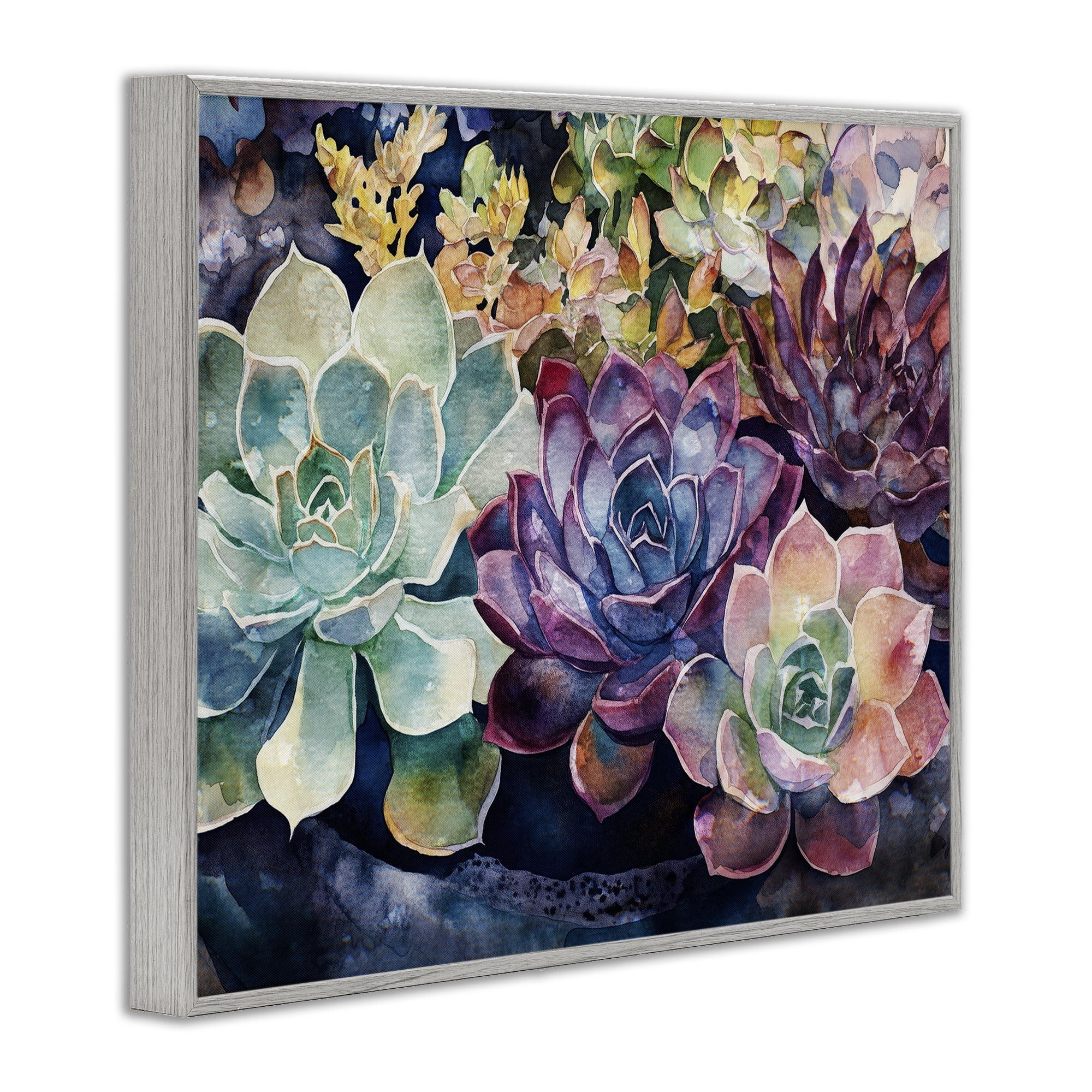 Stupell Industries Tutti Succulents Collection Gray Framed Giclee Art, design by Svetlana Aleynikova
