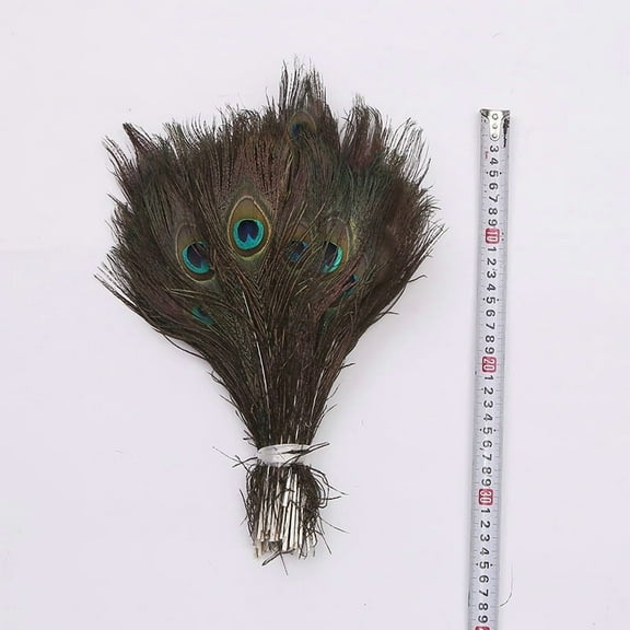 WYZCTTD Natural Long Peacock Feathers - 30pcs 15-17 inches for Floral Arrangements, Wedding, Home and Party Decorations