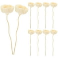 thumbnail image 1 of MIANGASTORE 10pcs Reed Diffuser Sticks Aroma Diffuser Sticks Flower Reed Sticks Fragrance Diffuser Sticks, 1 of 9