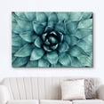 thumbnail image 2 of HFDF Canvas Prt Wall Art Closeup of Teal Rose Succulent Floral Plants Photography Realism Rustic Scenic Colorful Multicolor Ultra for Livg Room, Bedroom, Office - 24x16inch Framed, 2 of 6