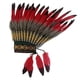 thumbnail image 1 of Tocado de plumas, tocado, accesorios fotográficos exagerados, diadema para presentaciones en el escenario Estilo A, 1 of 9