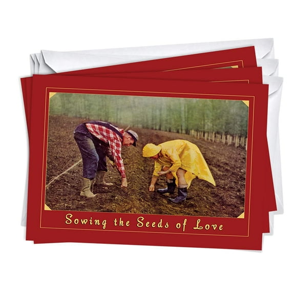 Seeds of Life Happy Anniversary for Husband/Wife Greeting Cards | 3 Pack Set (5X7)